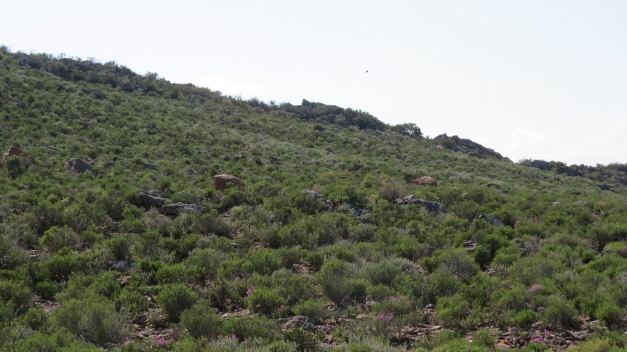 Commercial Property for Sale in Montagu Rural Western Cape